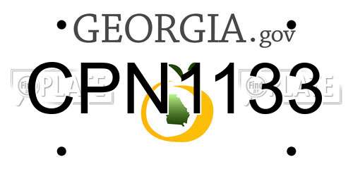 CPN1133 Georgia License Plate