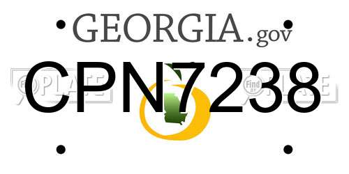 CPN7238 Georgia License Plate