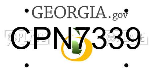 CPN7339 Georgia License Plate