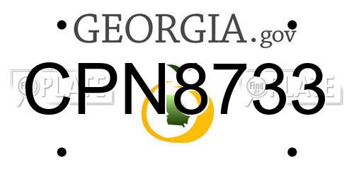 CPN8733 Georgia License Plate