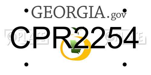 CPR2254 Georgia License Plate