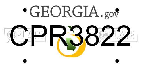 CPR3822 Georgia License Plate