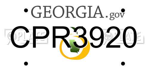 CPR3920 Georgia License Plate