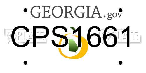 CPS1661 Georgia License Plate