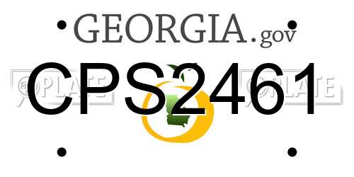 CPS2461 Georgia License Plate