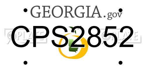 CPS2852 Georgia License Plate