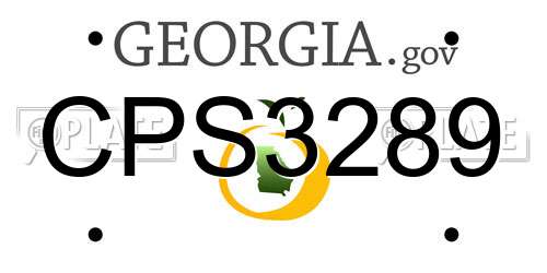 CPS3289 Georgia License Plate