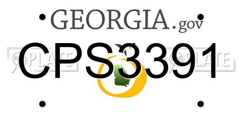 CPS3391 Georgia License Plate