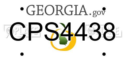 CPS4438 Georgia License Plate