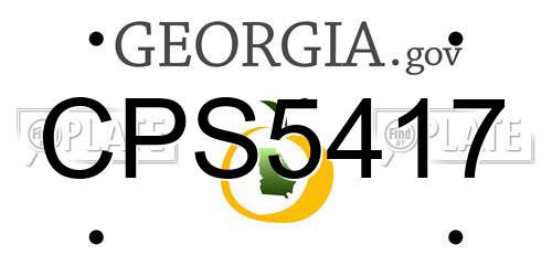 CPS5417 Georgia License Plate