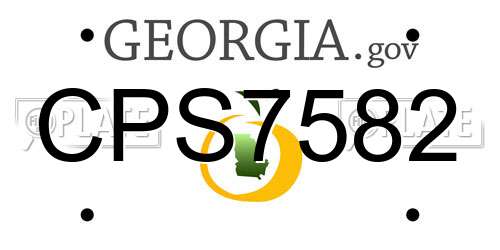 CPS7582 Georgia License Plate