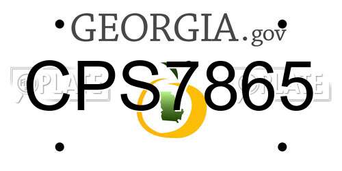 CPS7865 Georgia License Plate