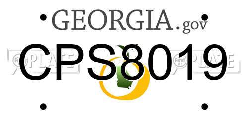 CPS8019 Georgia License Plate