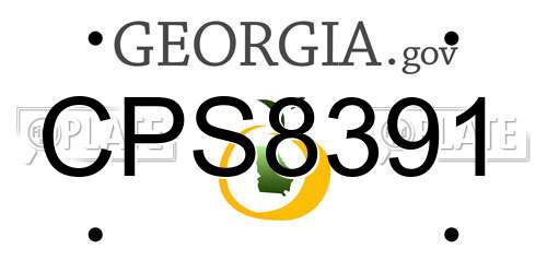CPS8391 Georgia License Plate