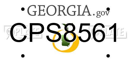 CPS8561 Georgia License Plate