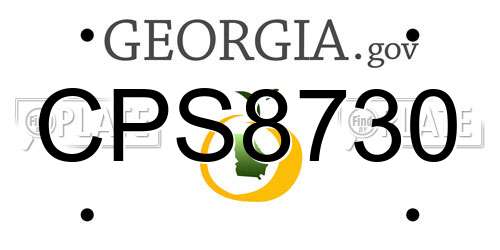 CPS8730 Georgia License Plate