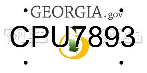 CPU7893 Georgia License Plate