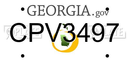 CPV3497 Georgia License Plate