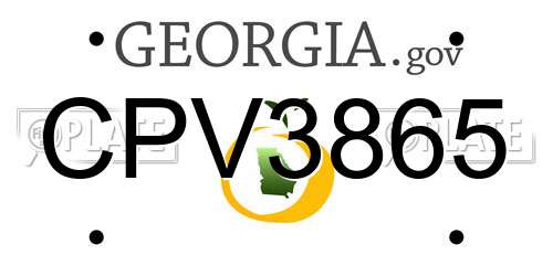 CPV3865 Georgia License Plate