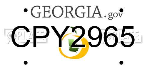 CPY2965 Georgia License Plate