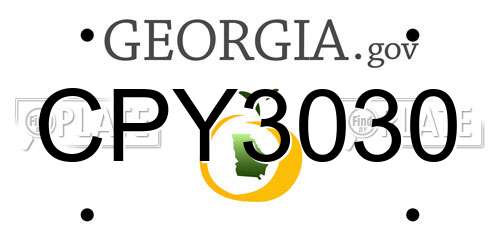 CPY3030 Georgia License Plate
