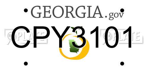 CPY3101 Georgia License Plate