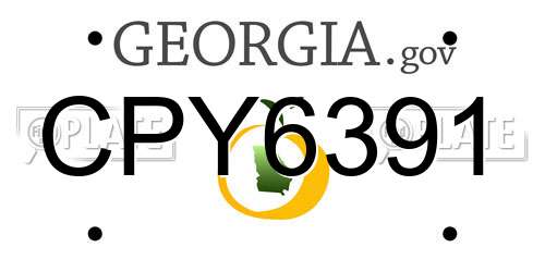 CPY6391 Georgia License Plate