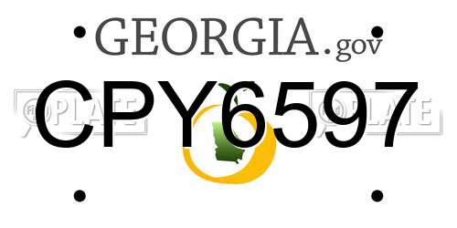 CPY6597 Georgia License Plate