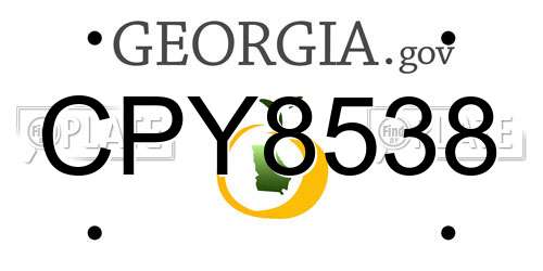 CPY8538 Georgia License Plate