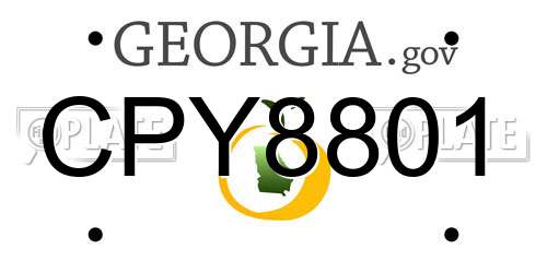 CPY8801 Georgia License Plate