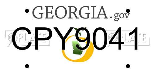 CPY9041 Georgia License Plate
