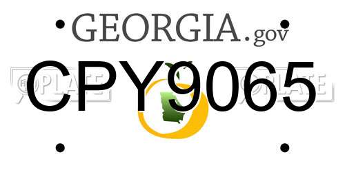 CPY9065 Georgia License Plate