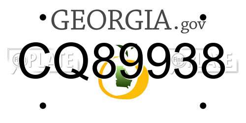 CQ89938 Georgia License Plate