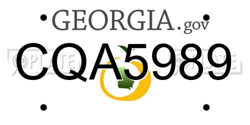 CQA5989 Georgia License Plate