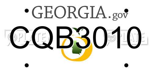 CQB3010 Georgia License Plate
