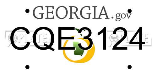 CQE3124 Georgia License Plate