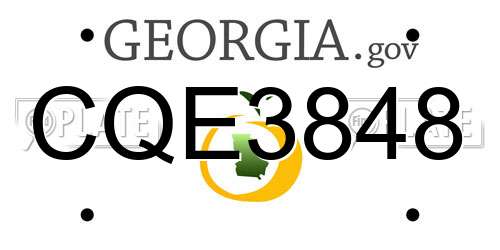 CQE3848 Georgia License Plate