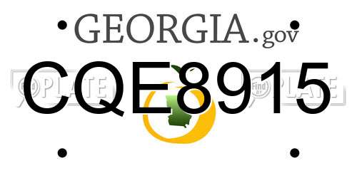 CQE8915 Georgia License Plate