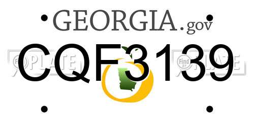 CQF3139 Georgia License Plate