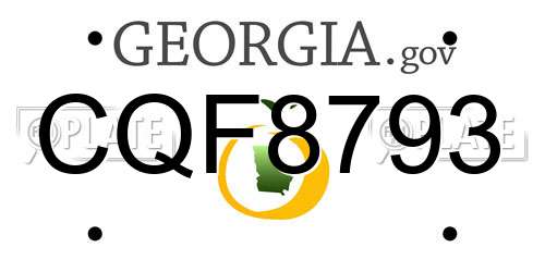 CQF8793 Georgia License Plate