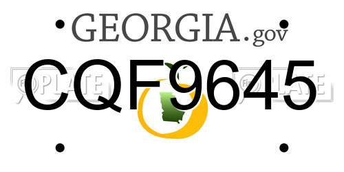 CQF9645 Georgia License Plate