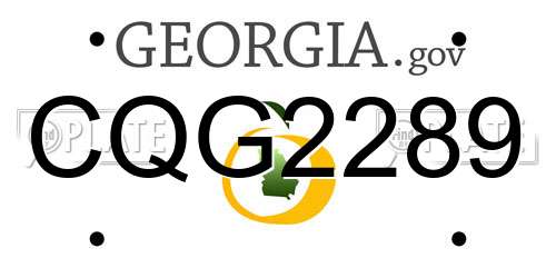 CQG2289 Georgia License Plate