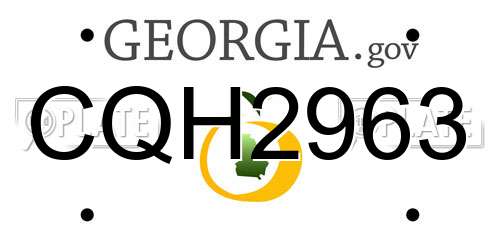CQH2963 Georgia License Plate