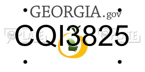 CQI3825 Georgia License Plate
