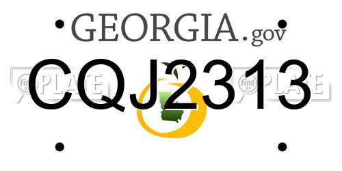 CQJ2313 Georgia License Plate