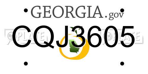 CQJ3605 Georgia License Plate