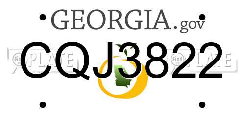CQJ3822 Georgia License Plate