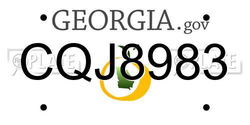 CQJ8983 Georgia License Plate