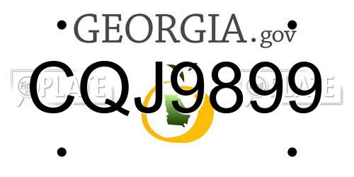 CQJ9899 Georgia License Plate