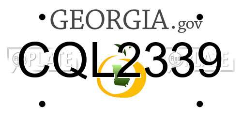 CQL2339 Georgia License Plate